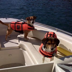 Meet your Posher, Greg